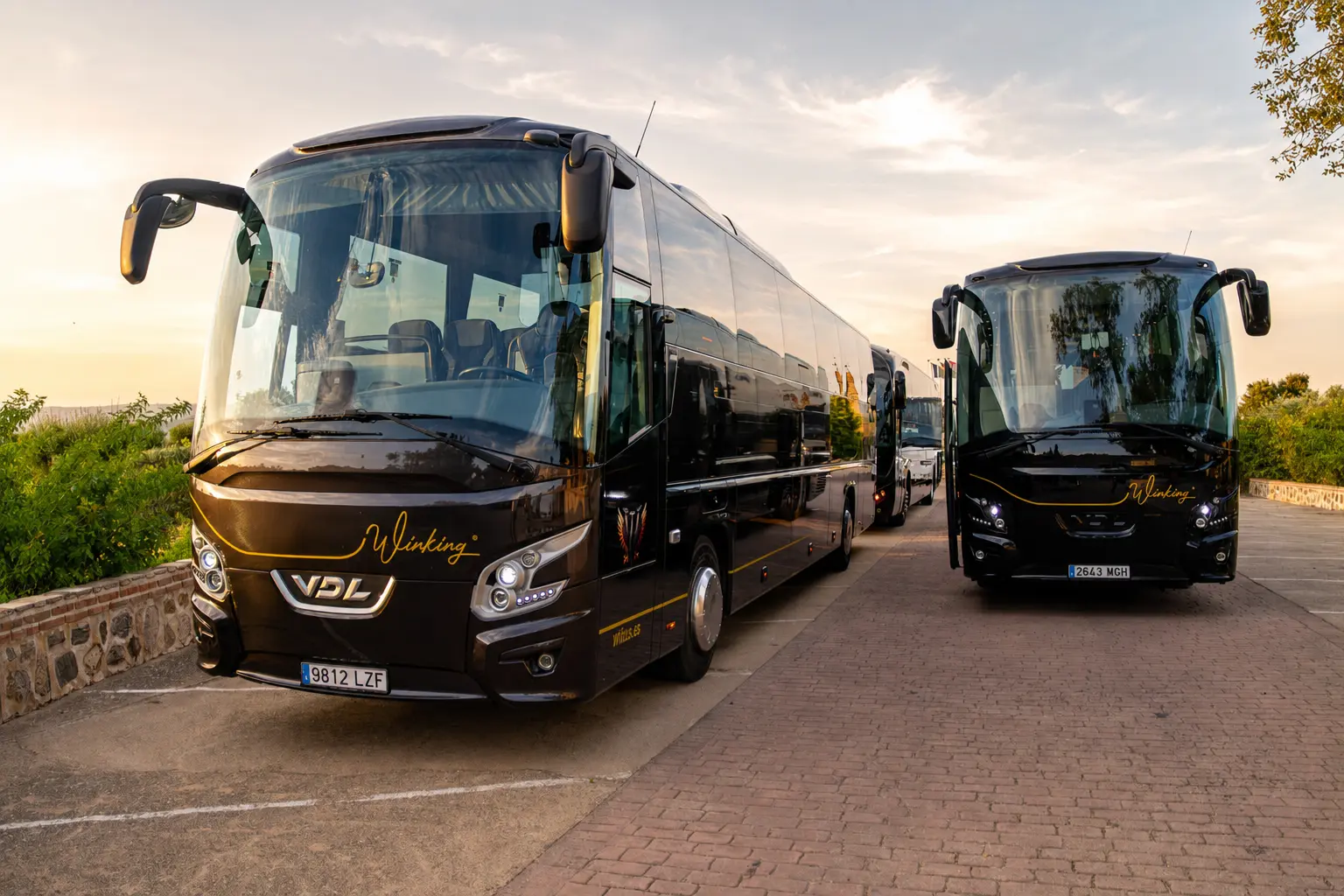 Dos autocares VDL negros de Winking Bus aparcados en un mirador adoquinado, con la luz del atardecer entre los árboles