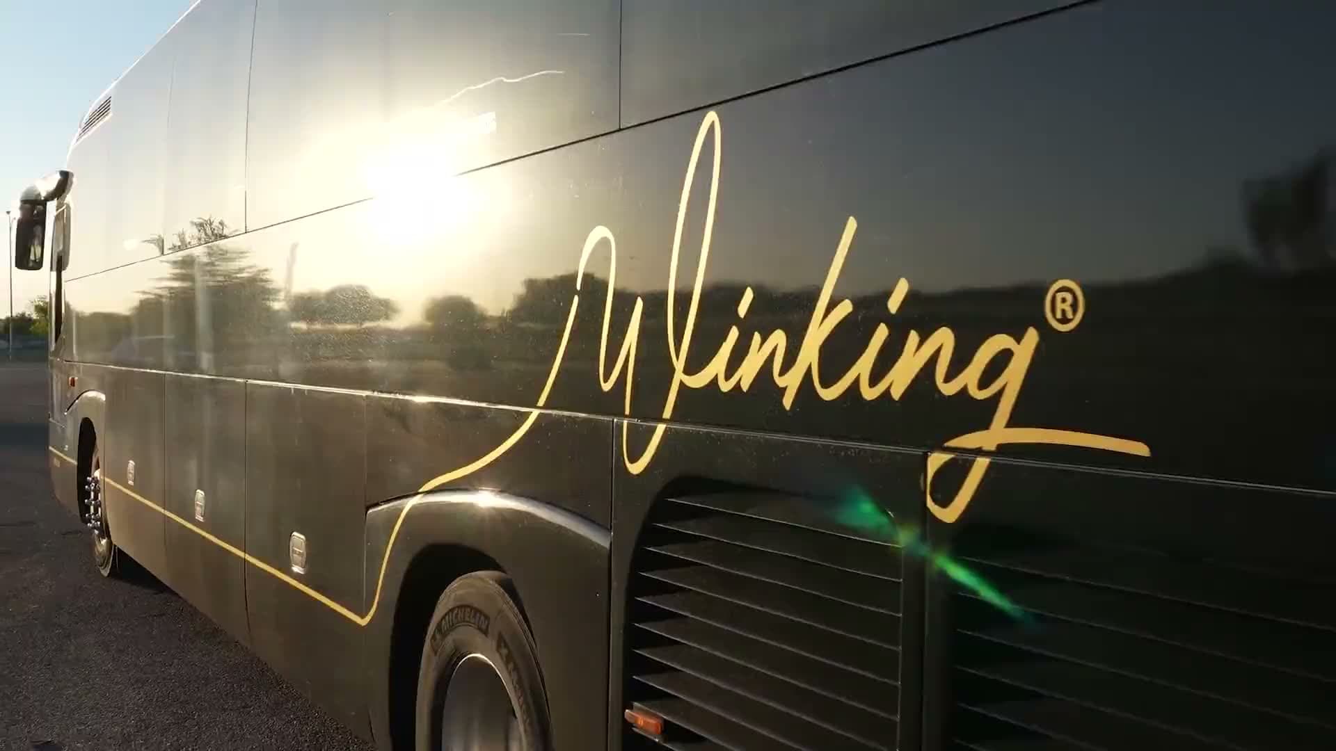 Autocar de lujo Winking Bus