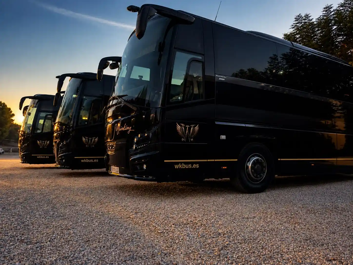 Tres autocares negros de Winking Bus aparcados en fila sobre grava al atardecer, con el cielo azul y naranja de fondo
