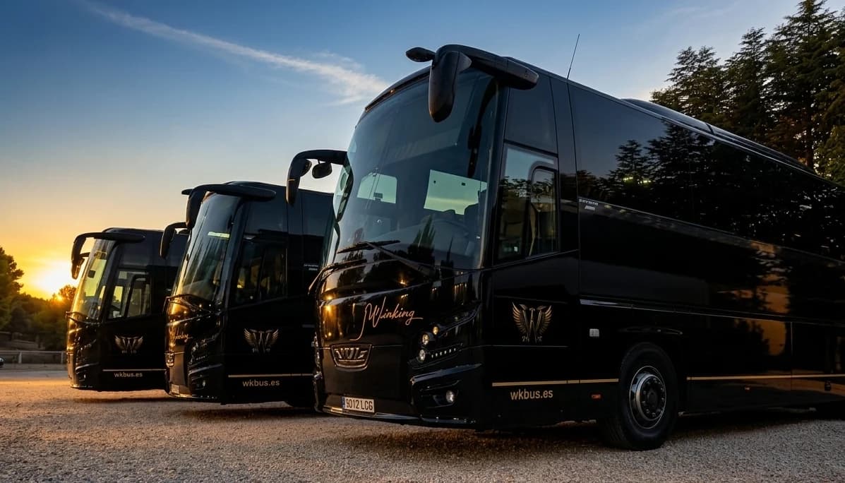 Tres autocares negros de Winking Bus en fila con el sol del atardecer al fondo