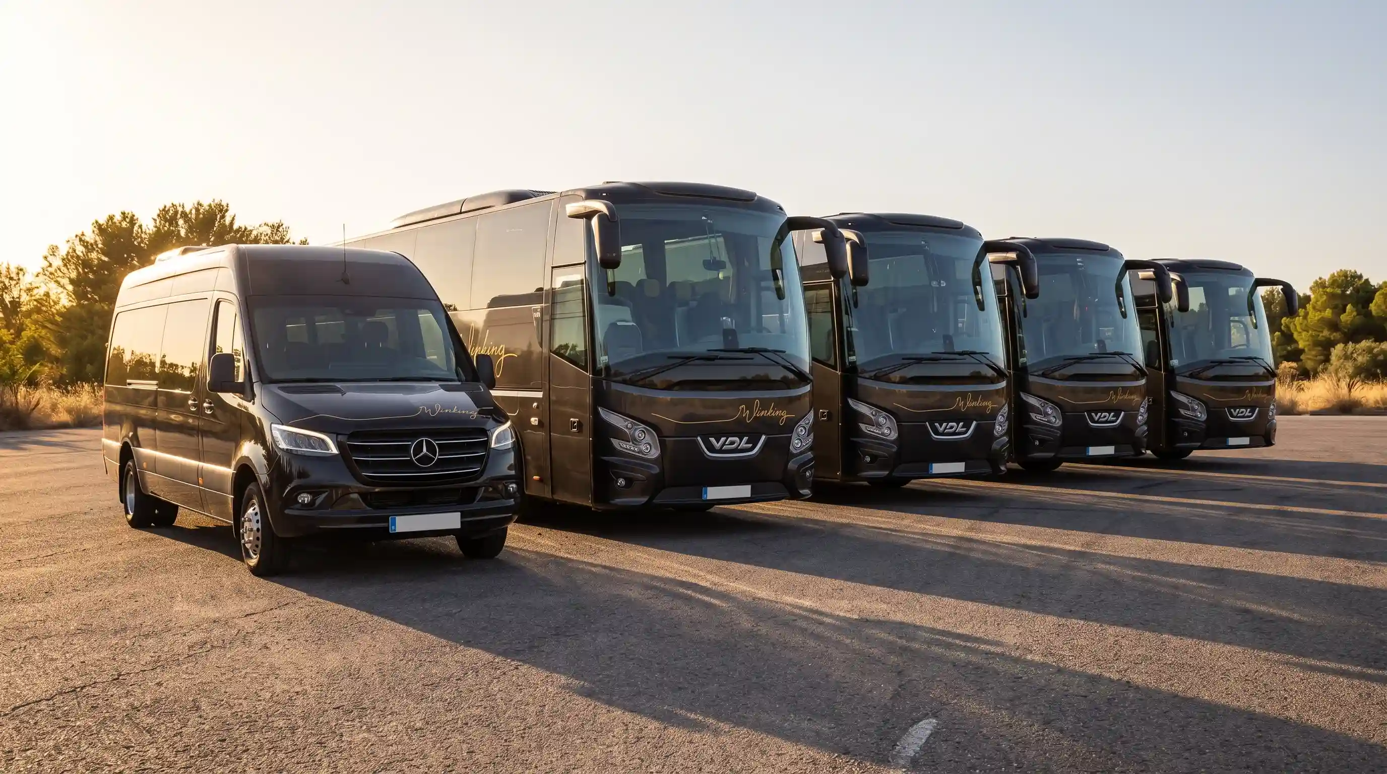Un microbús Mercedes-Benz negro y cuatro autocares VDL negros de Winking Bus en fila sobre el asfalto, al atardecer